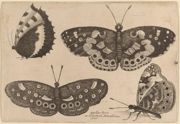 Vier Vlinders