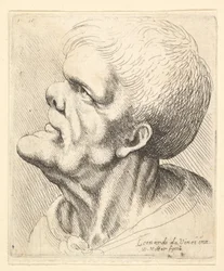 Hoofd van een man met vooruitstekende kin en stompe neus, kijkend omhoog in profiel naar links, 1625-77