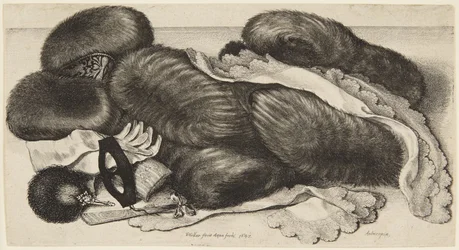 Moffen en opschik