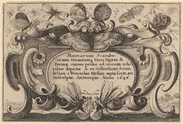 Titelpagina