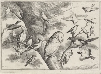 Vogels in een boom
