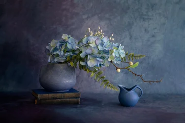 Elegant stilleven met blauwe hortensia’s