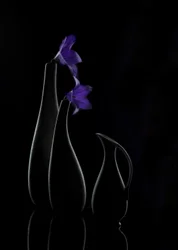 Paarse bloemenvazen