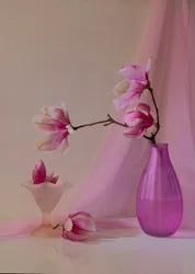 Zachtroze magnolia’s