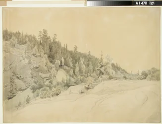 Landschap