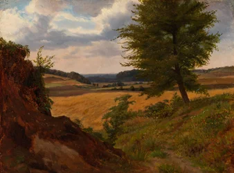 Boom in veldlandschap, studie
