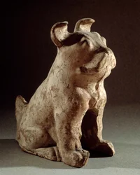 Chinese kunst: terracotta molosse