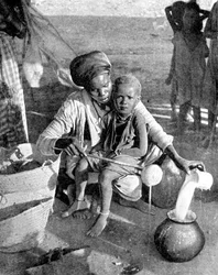 Verzamelen van mirre en wierook, Somalië, Afrika