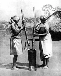 Twee Mashona-stamvrouwen die maïs en gierst stampen, Zimbabwe, Afrika, 1936
