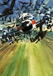 Een passagiersvliegtuig bedreigd door een zwerm vogels