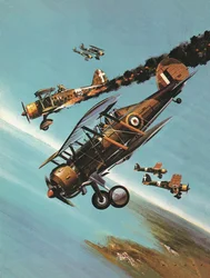 Beroemde vliegtuigen en hun piloten: De Gloster Gladiator -- Squadron Leader Pattle