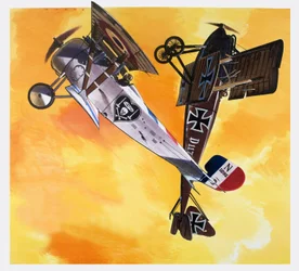 Vechtende Fransman, uit 