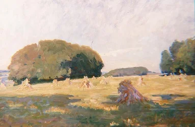 Hooibergen in een veld