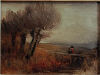 Vlak landschap met drie knotwilgen