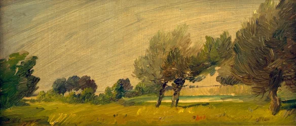 Groen zomerlandschap - Wilgen aan de vijver