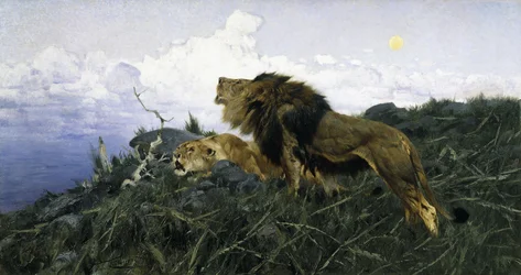 Leeuwen bij schemering