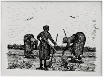 Drie vrouwen in het veld