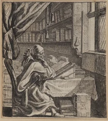 De boek dwaas