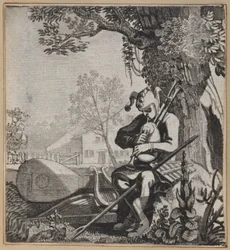 De kwaad-werpende dwaas