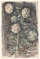 Tak met witte bloemen