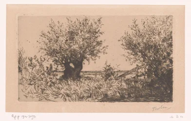 Landschap met weiland, knotwilgen en hek