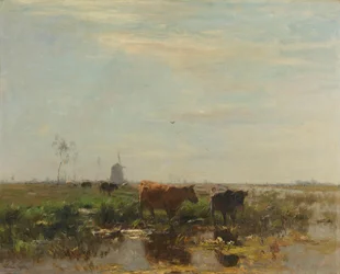 Weide met koeien bij het water