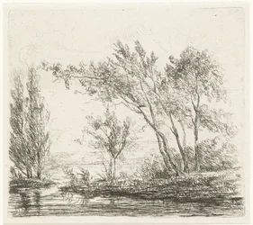 Landschap met bomen aan water