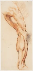 Anatomische Studie (écorché). Een man