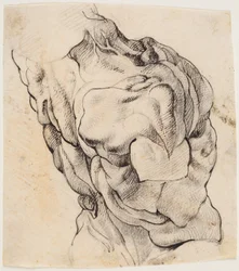 Anatomische Studie (écorché). Torso van een gevilde man gezien van de achterkant half gedraaid naar rechts