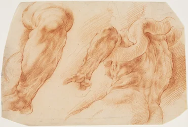Laocoon. Studies van Laocoon