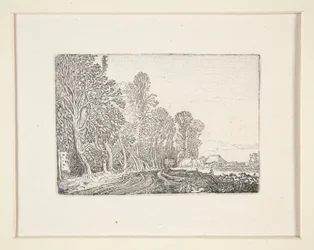 Weg aan de rand van het bos, Plaat 4 uit De Set van de Landschappen