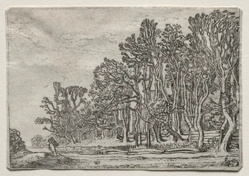 De Set van de Landschappen: Twee Plank-Heggen