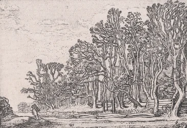 Twee Plank Heggen, uit Verscheyden Landtschapjes Diverse Kleine Landschappen, Plaat 6,..., ca. 1616