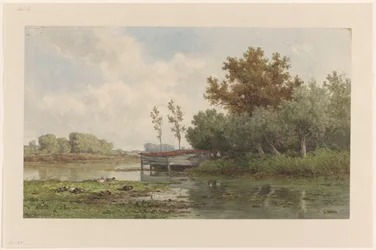 Landschap met water en eenden