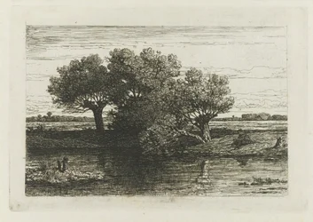 Visser bij de knotwilgen