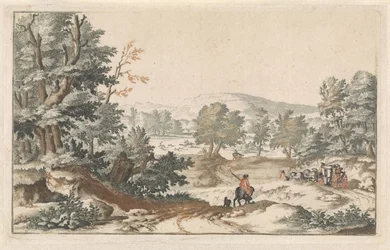 Bosrijk landschap met een weg