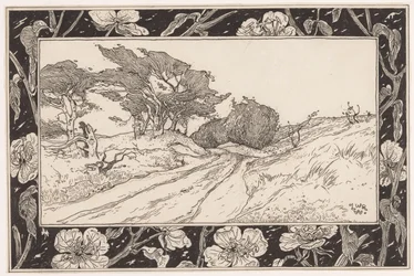 Duinlandschap met helmgras