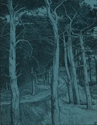 Bos, ca. 1912
