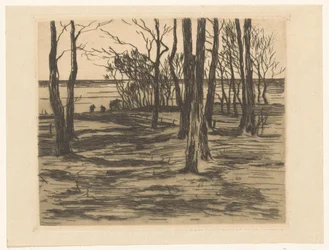 Bomen aan de waterkant in Valkeveen