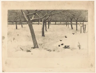 Besneeuwde boomgaard met vogels