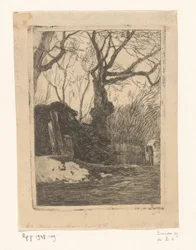 Bomen en takkenbossen bij een hek