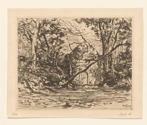 Ruïne in een bos