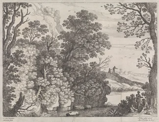 Boslandschap