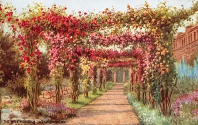 De Rozenpergola, Kew Gardens