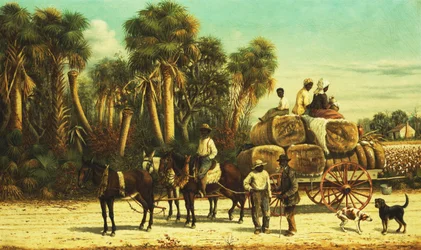 De Katoenwagen