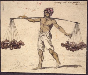 WD 961 f.279