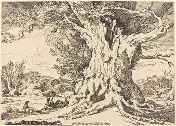 Rustend, mannen en honden onder een grote boom