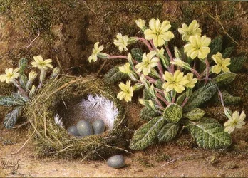 Stilleven van eieren in een nest en sleutelbloemen