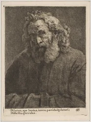 Oude Man met een Lange Baard