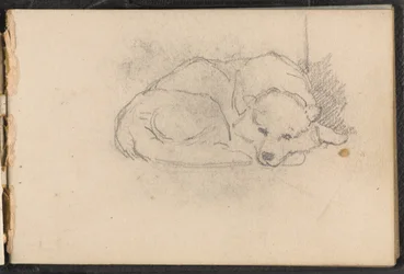 Schets van een slapende hond